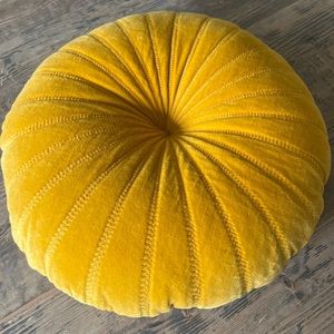 Gorgeous velvet pillow